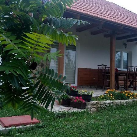 Nektar Park Villa Sara Бихач Экстерьер фото