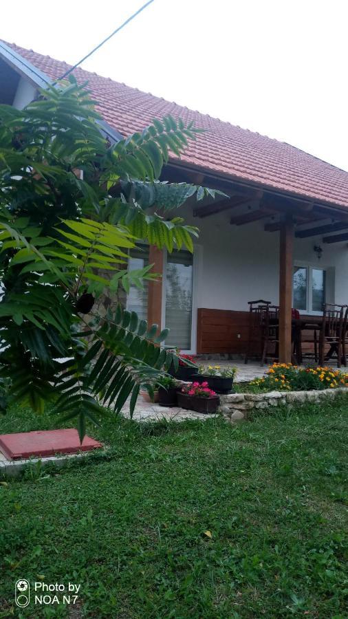 Nektar Park Villa Sara Бихач Экстерьер фото