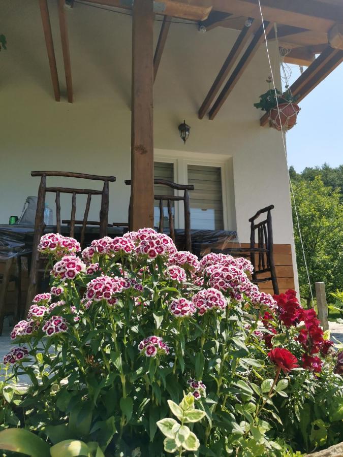 Nektar Park Villa Sara Бихач Экстерьер фото
