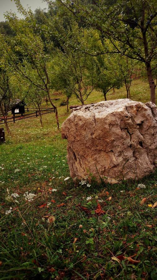 Nektar Park Villa Sara Бихач Экстерьер фото